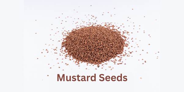 Maroon colored mustard seeds spread over light gray background.