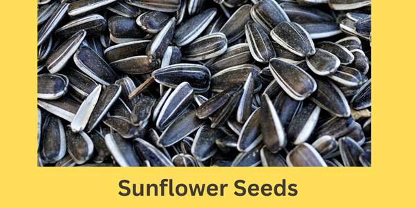 Sunflower seeds with yellow background.