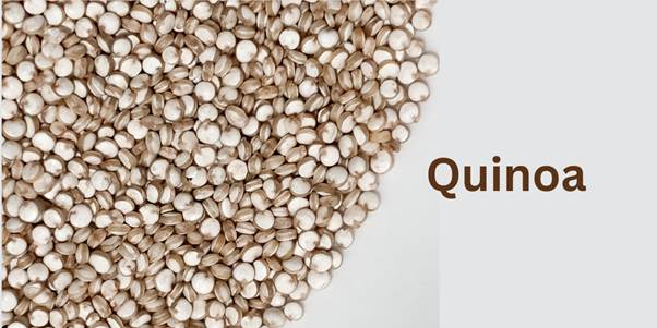 Quinoa seeds with light gray background.