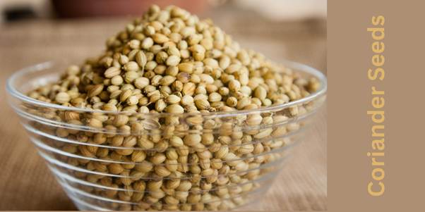 Coriander seeds are in a pretty transparent glass bowl. 